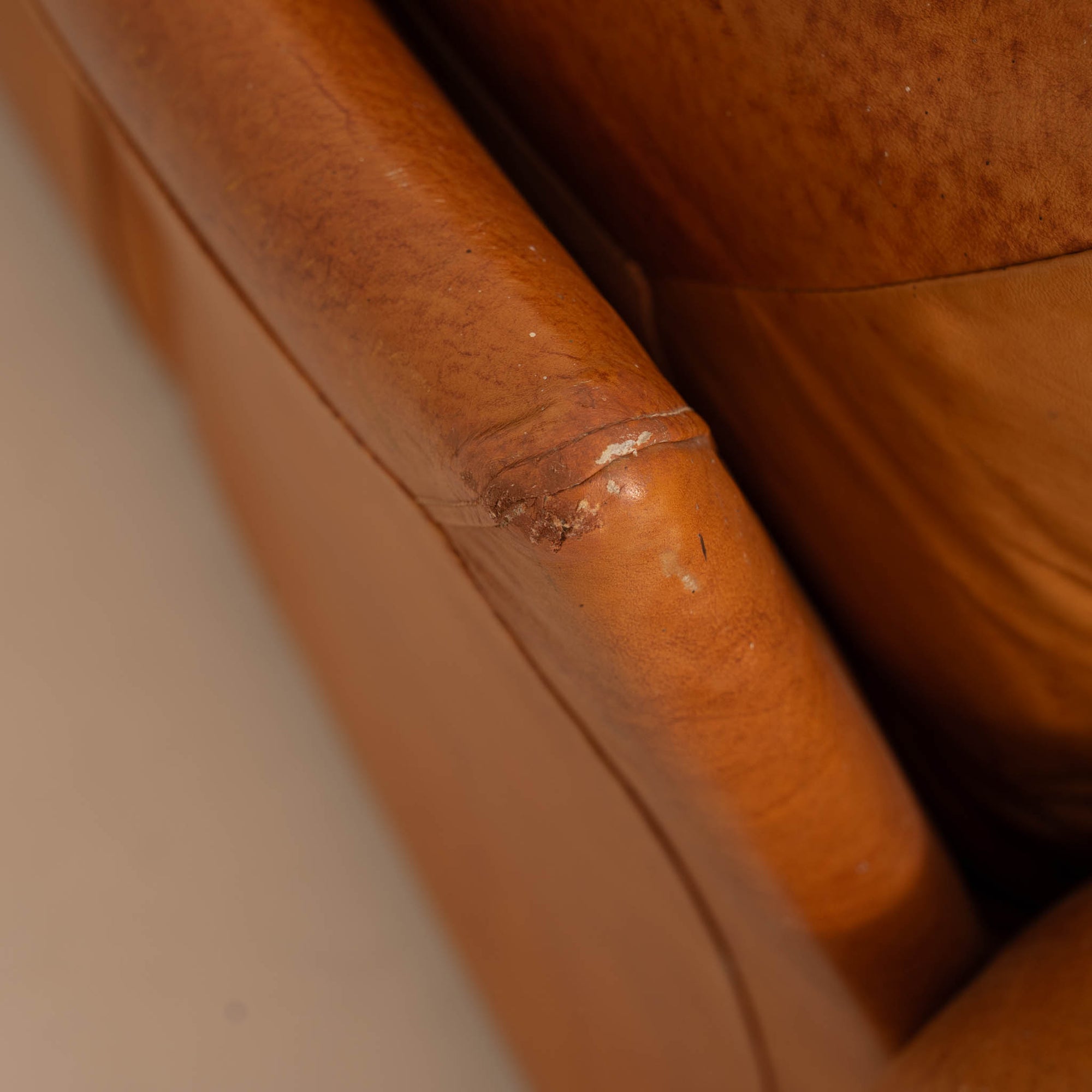 Piumotto Sofa by Arrigo Arrighi for Busnelli